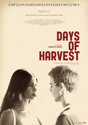 Days of Harvest movie poster