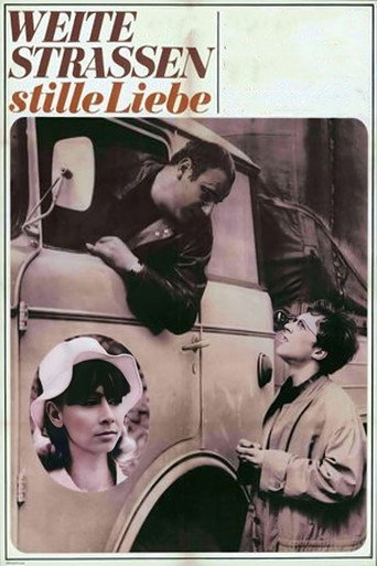 Long Roads - Secret Love movie poster