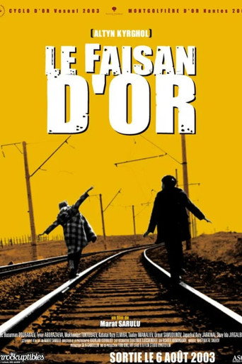My Brother Silk Road movie poster