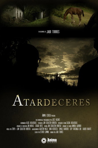 Atardeceres movie poster