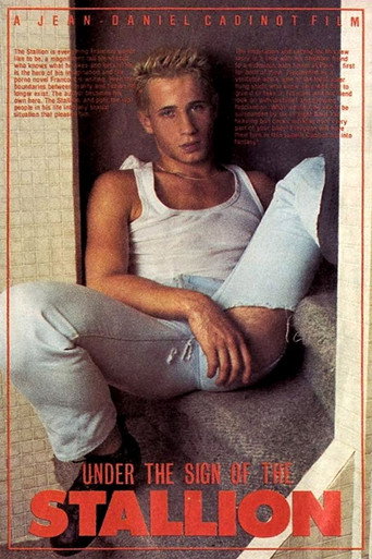 Under the Sign of the Stallion movie poster