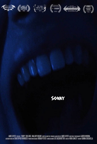 Sorry movie poster