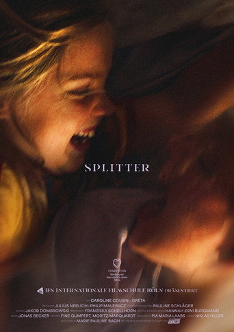 Splitter movie poster