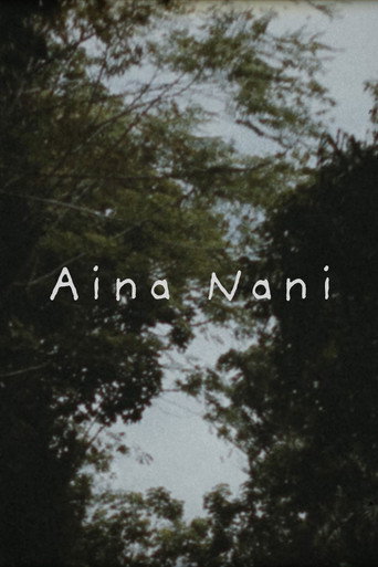 Aina Nani movie poster