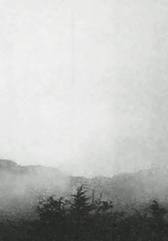 Mist movie poster