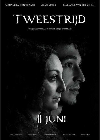 Tweestrijd movie poster