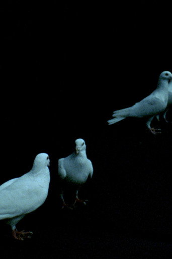 Palomacia movie poster