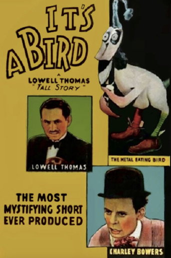 It's a Bird movie poster