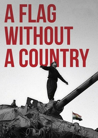 A Flag Without a Country movie poster