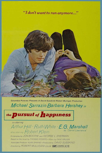 The Pursuit of Happiness movie poster