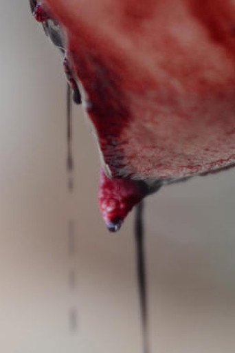 Meat movie poster