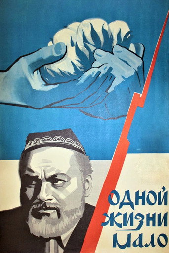 One Life is Not Enough movie poster