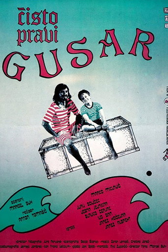 A Real Pirate movie poster