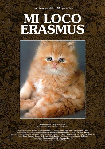 Mi loco erasmus movie poster