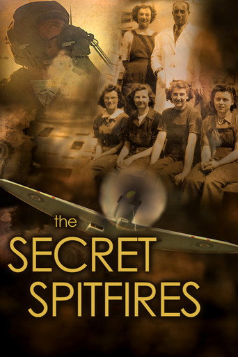 The Secret Spitfires movie poster