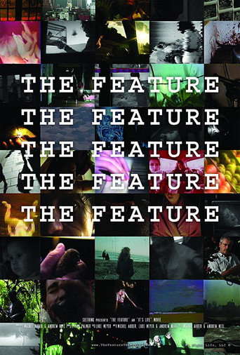 The Feature movie poster