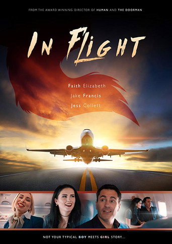 In Flight movie poster