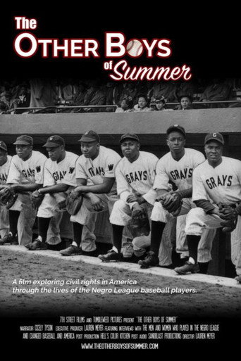 The Other Boys of Summer movie poster