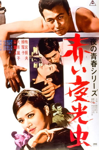 Nocturnal Lights movie poster