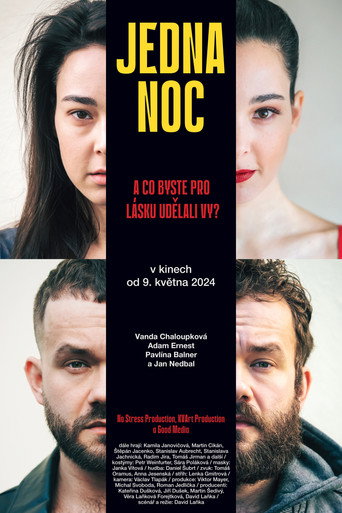 One Night movie poster