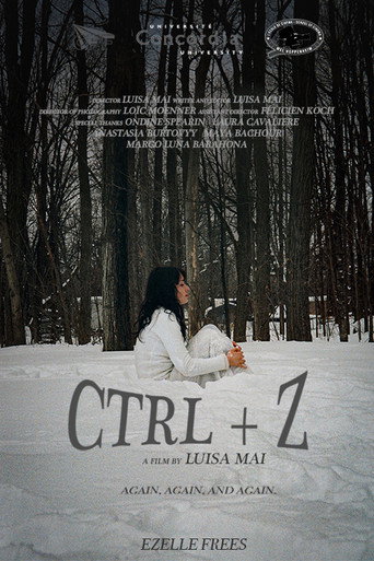 CTRL+Z movie poster
