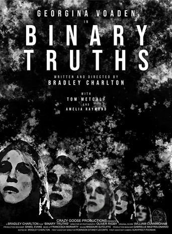 Binary Truths movie poster