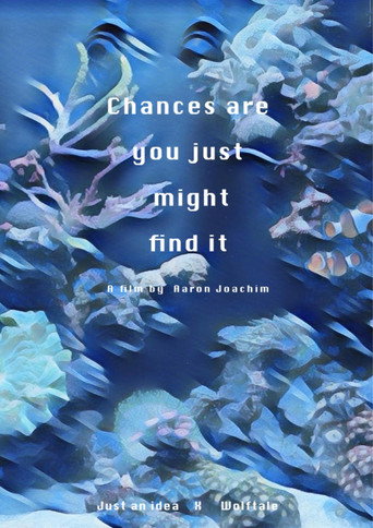 Chances Are You Just Might Find It movie poster