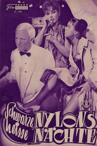 Schwarze Nylons – Heiße Nächte movie poster