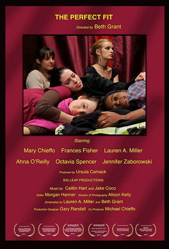 The Perfect Fit movie poster