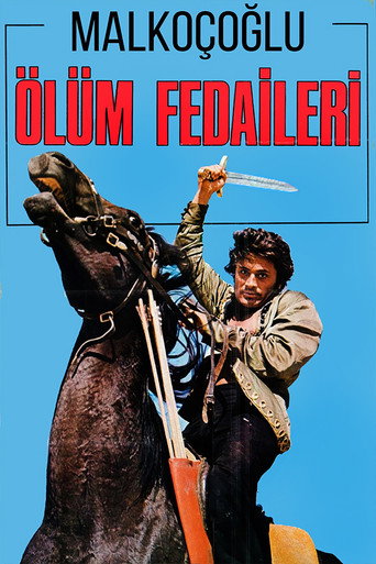 Malkoçoğlu: The Death Bouncers movie poster