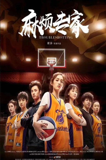 Troubleshooting movie poster