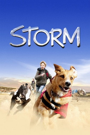 Storm movie poster