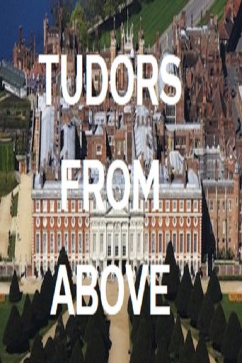 Tudors From Above movie poster