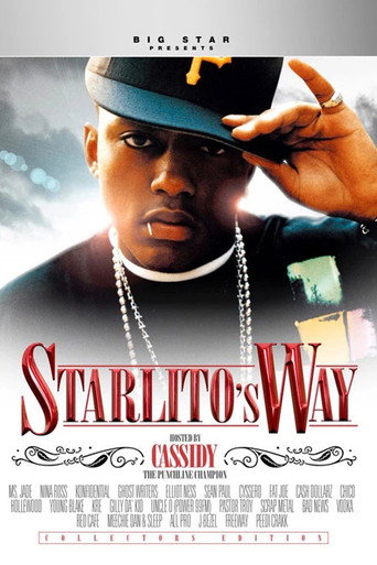 Starlito's Way movie poster