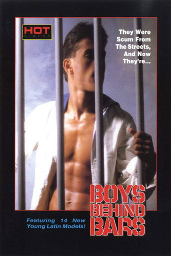 Boys Behind Bars movie poster