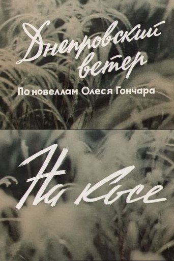 The Dnipro Wind. On the Spit movie poster