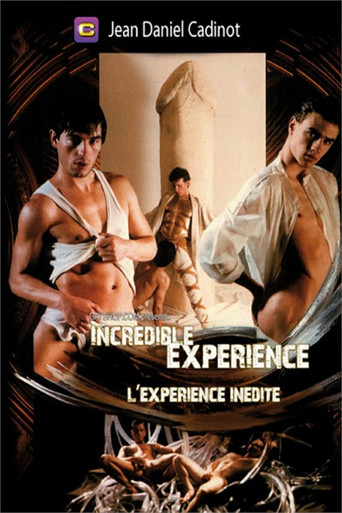 Incredible Experience movie poster