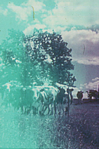 Still Life movie poster