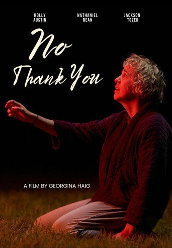 No Thank You movie poster