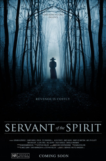 Servant of the Spirit movie poster