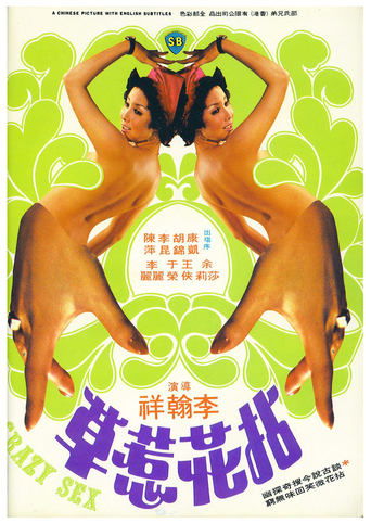 Crazy Sex movie poster
