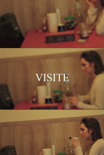 VISIT movie poster