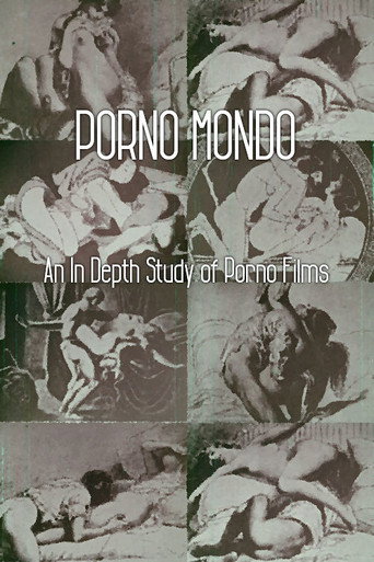 Porno Mondo: An In Depth Study of Porno Films movie poster