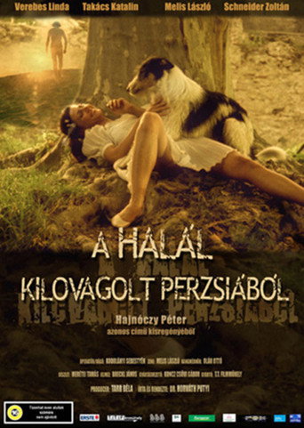 Death Rode out of Persia movie poster