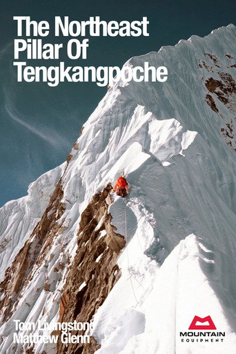 The Northeast Pillar Of Tengkangpoche movie poster