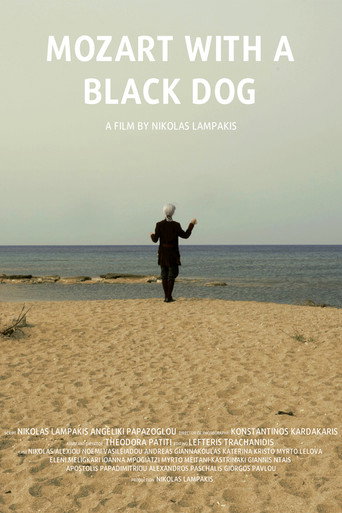 Mozart With A Black Dog movie poster