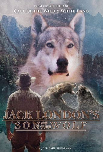 Jack London’s Son of the Wolf movie poster