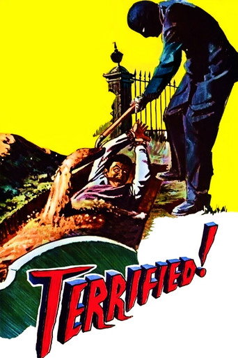 Terrified movie poster