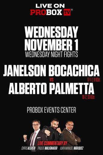 Janelson Bocachica vs. Alberto Palmetta movie poster
