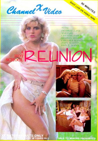 A Hot School Reunion movie poster